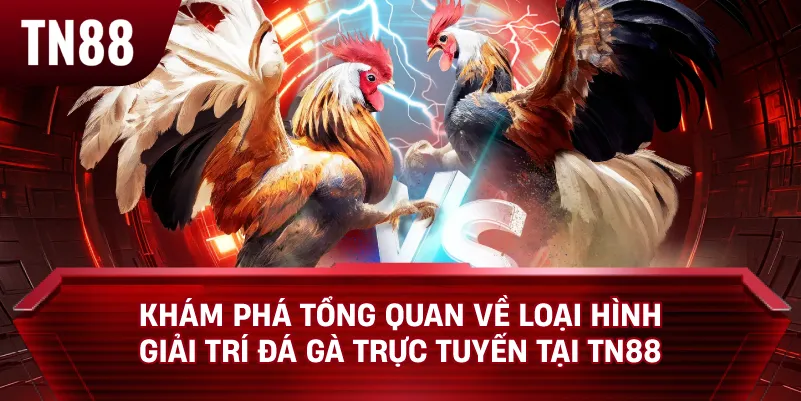 Khám Phá Tổng Quan Về Loại Hình Giải Trí Đá Gà Trực Tuyến Tại TN88